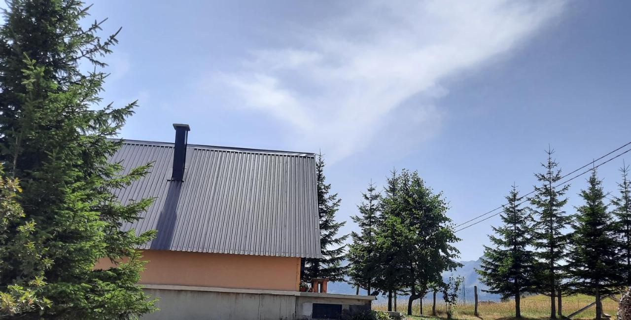 Vila Aleksandar Žabljak Zewnętrze zdjęcie